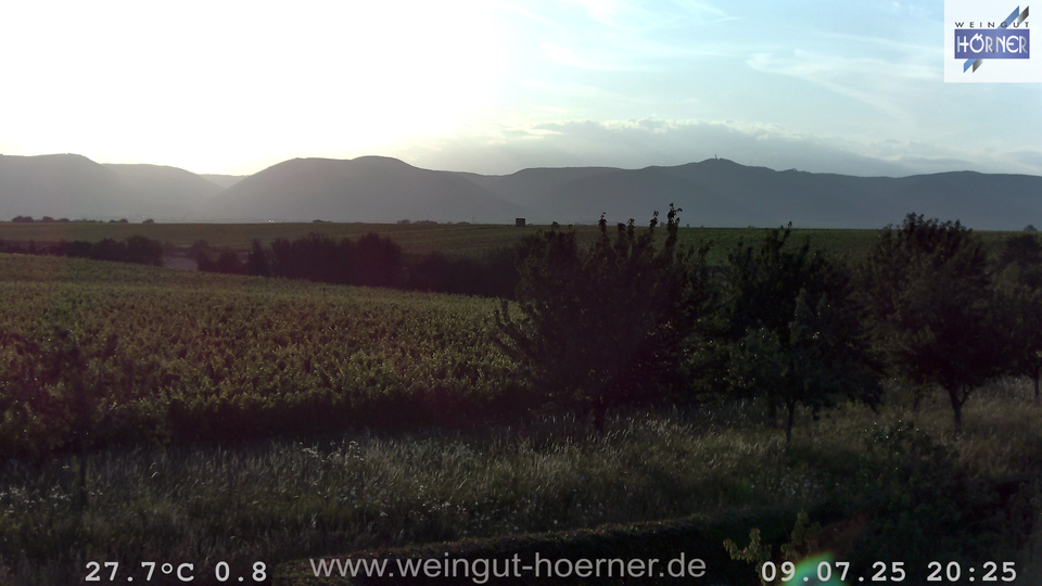 Webcam Weinberge Hochstadt