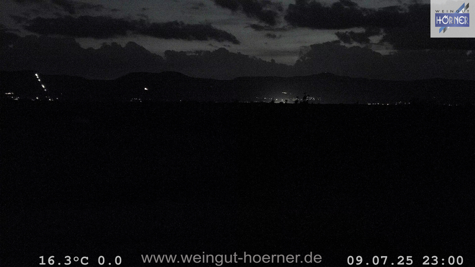 Webcam Weinberge Hochstadt