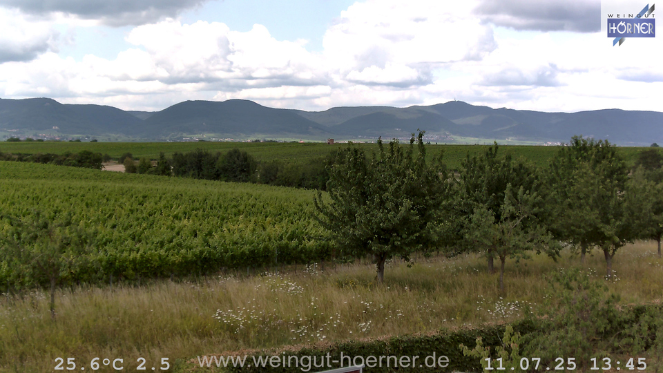 Webcam Weinberge Hochstadt