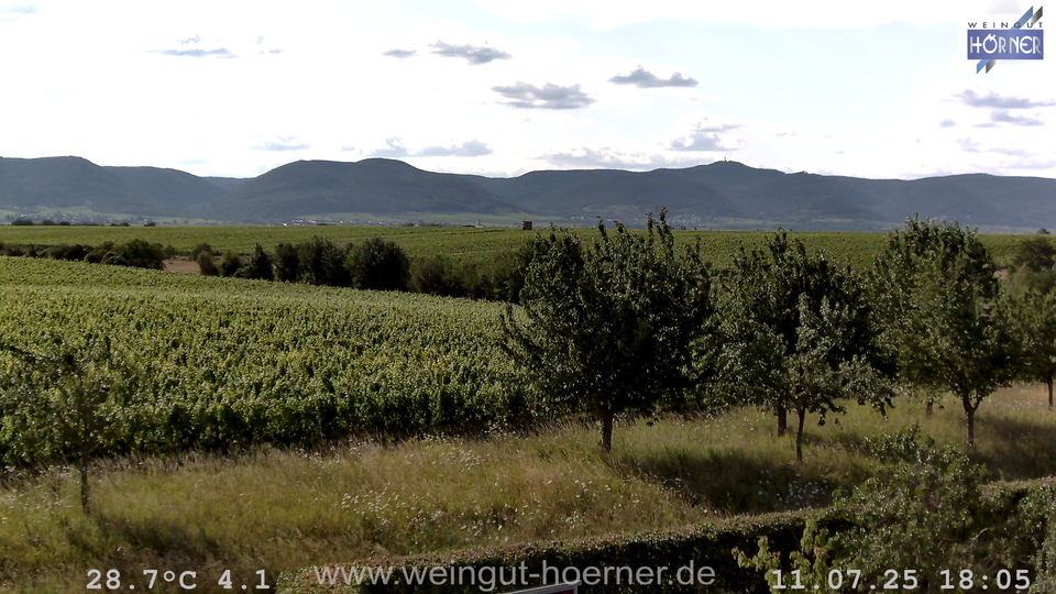 Webcam Weinberge Hochstadt
