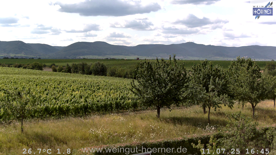 Webcam Weinberge Hochstadt