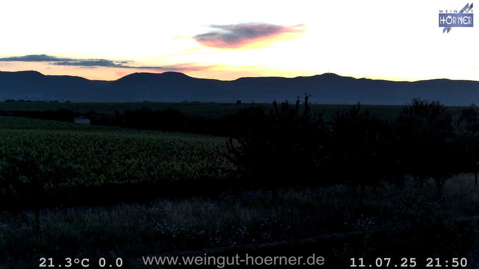 Webcam Weinberge Hochstadt