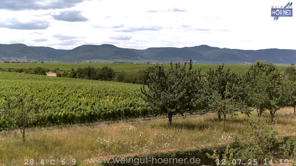 Webcam Weinberge Hochstadt