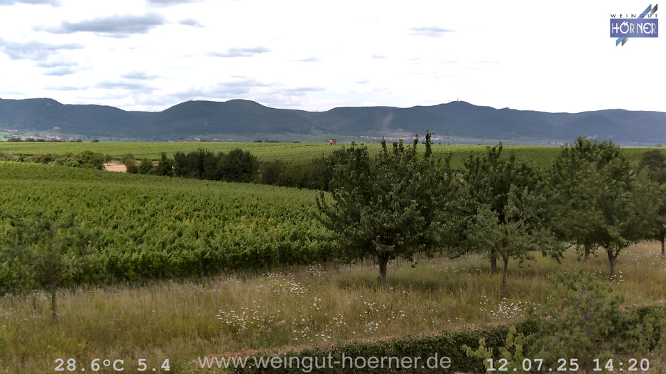 Webcam Weinberge Hochstadt