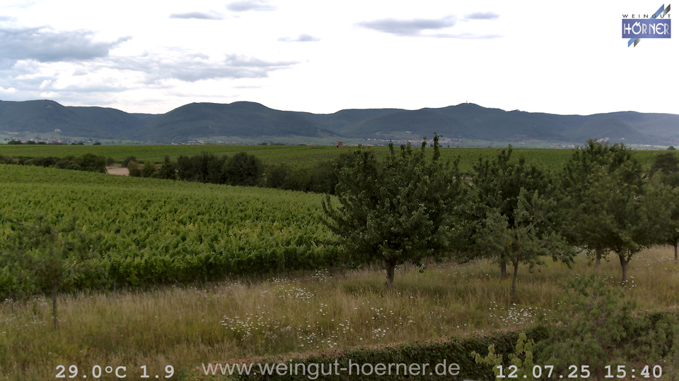 Webcam Weinberge Hochstadt