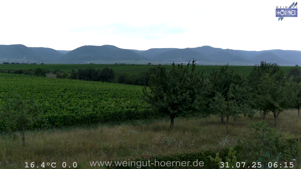 Webcam Weinberge Hochstadt