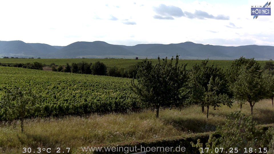 Webcam Weinberge Hochstadt