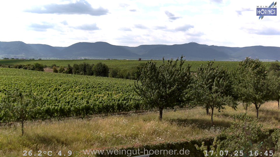 Webcam Weinberge Hochstadt