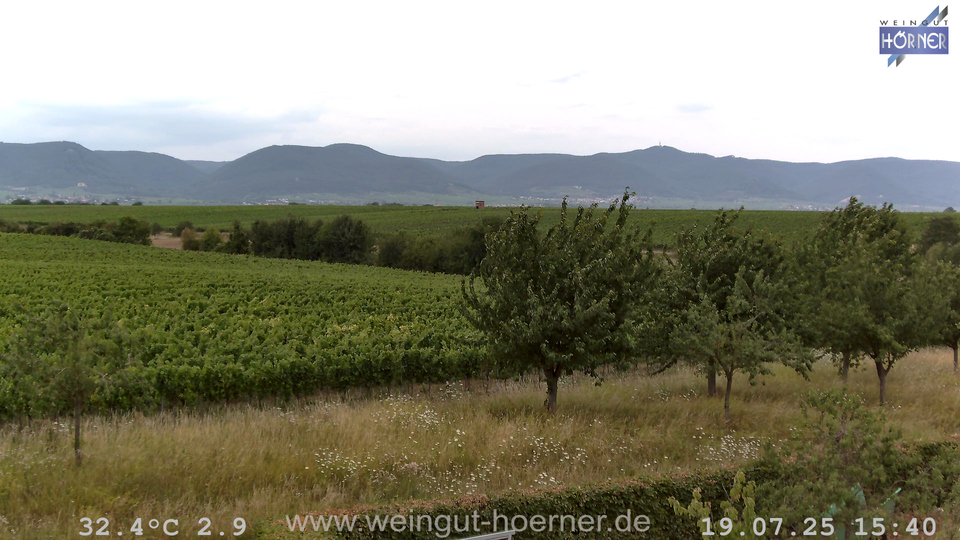 Webcam Weinberge Hochstadt