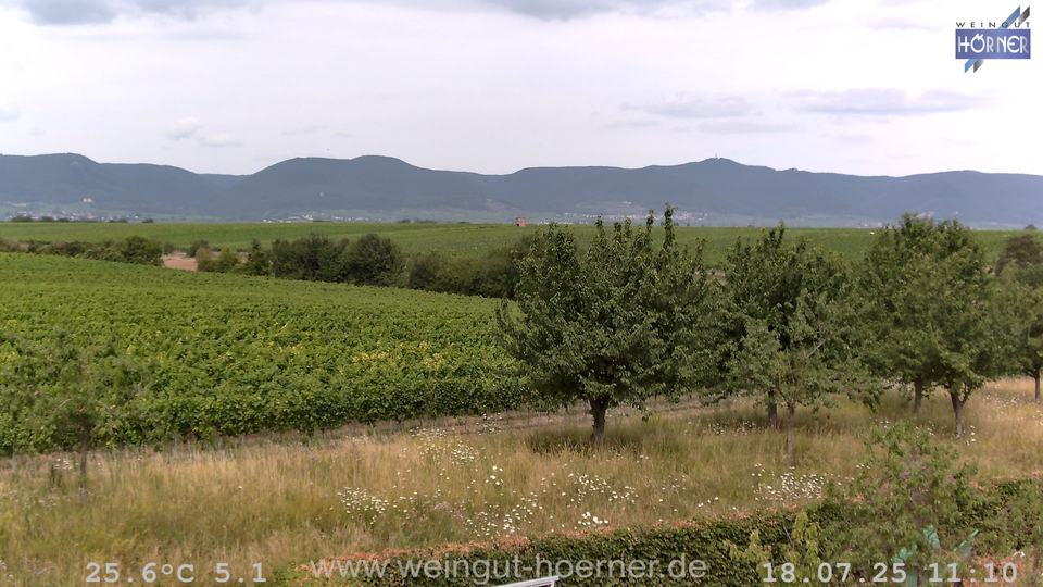 Webcam Weinberge Hochstadt
