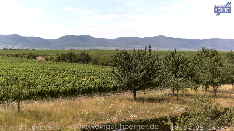 Webcam Weinberge Hochstadt