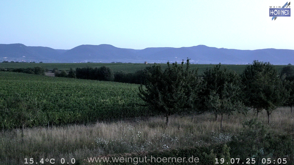 Webcam Weinberge Hochstadt
