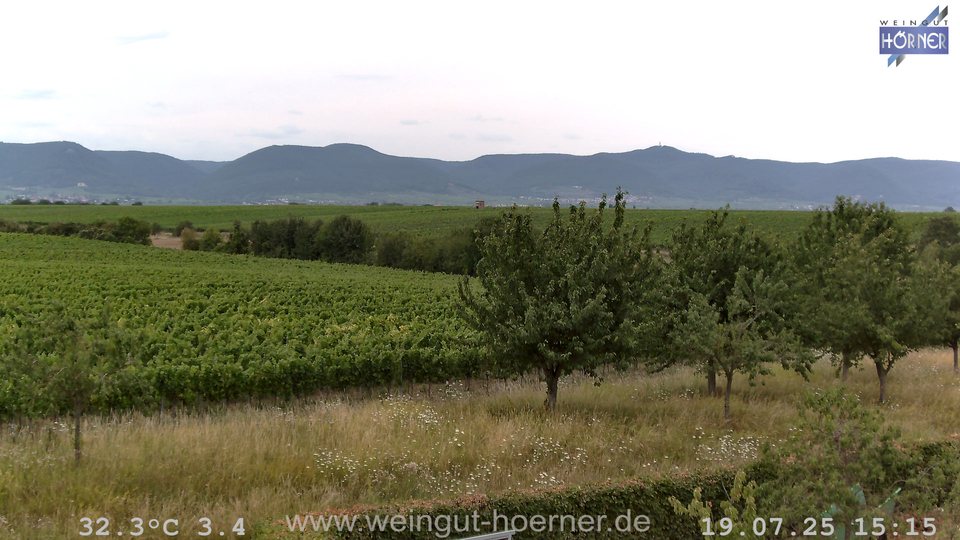 Webcam Weinberge Hochstadt