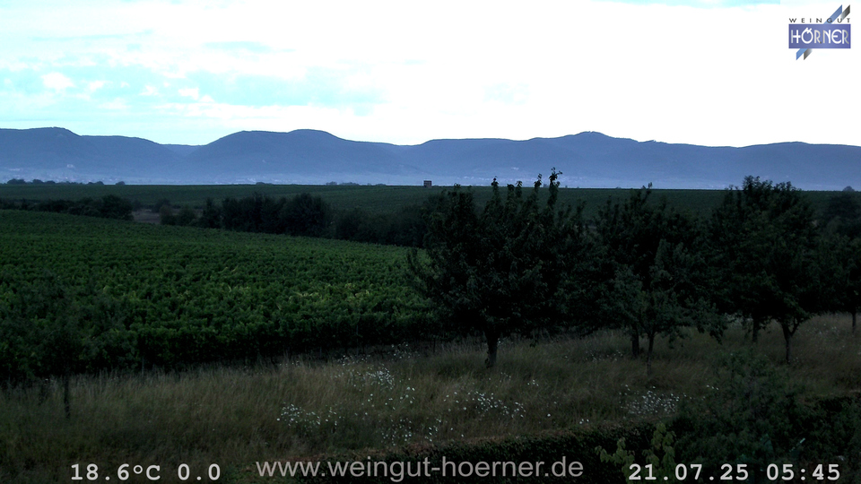Webcam Weinberge Hochstadt