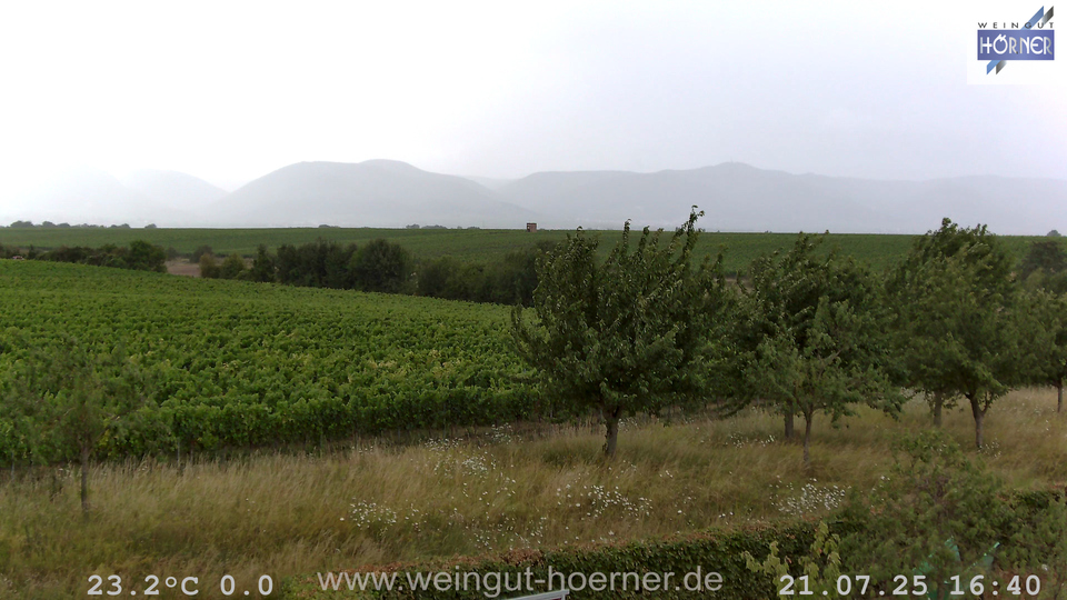 Webcam Weinberge Hochstadt
