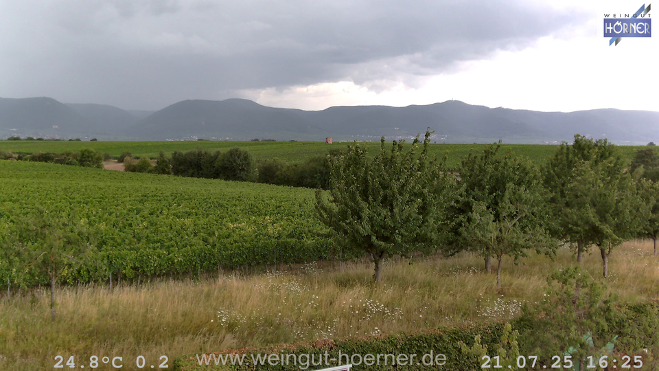 Webcam Weinberge Hochstadt