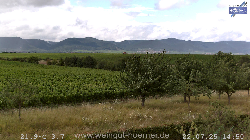 Webcam Weinberge Hochstadt
