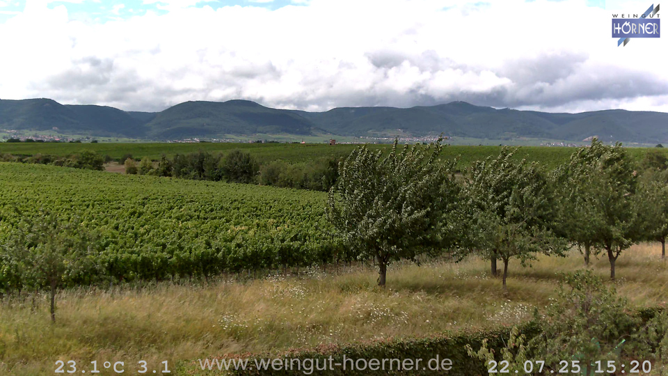 Webcam Weinberge Hochstadt