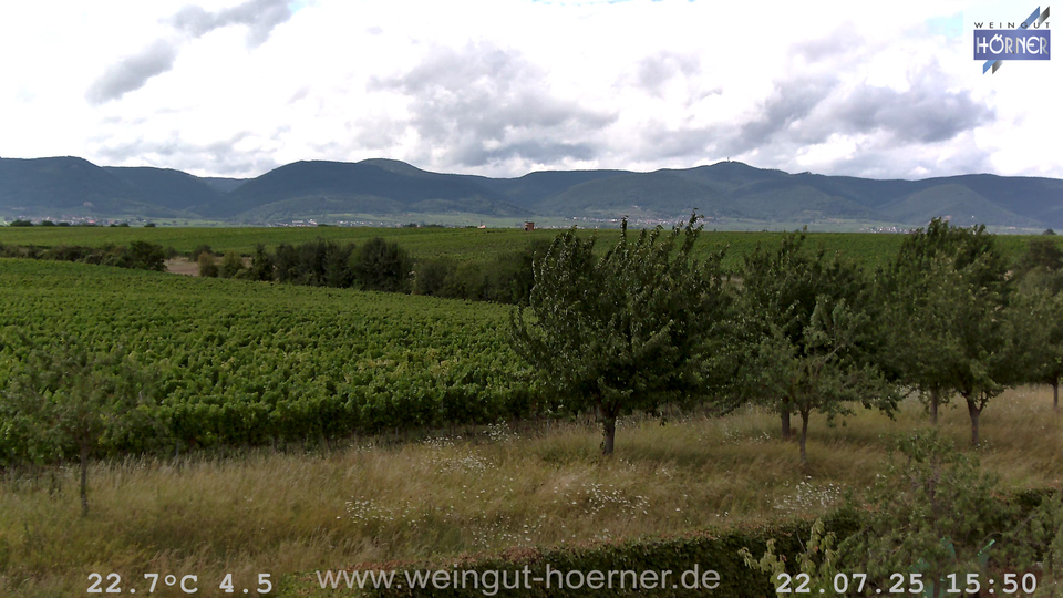 Webcam Weinberge Hochstadt