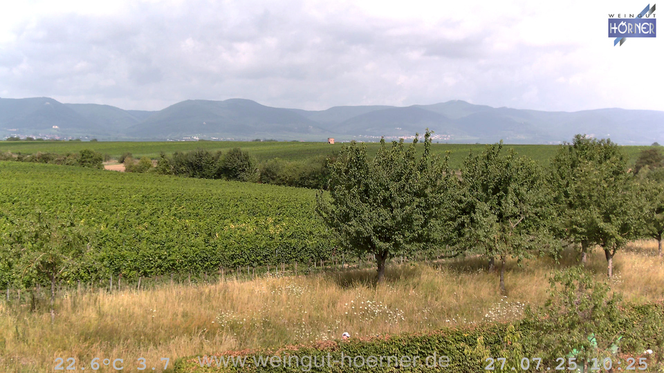 Webcam Weinberge Hochstadt