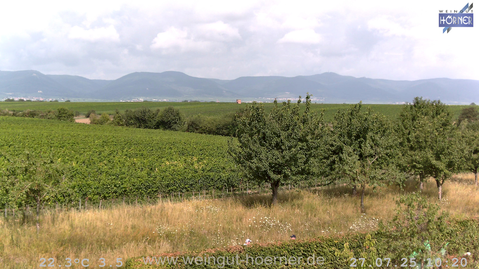 Webcam Weinberge Hochstadt
