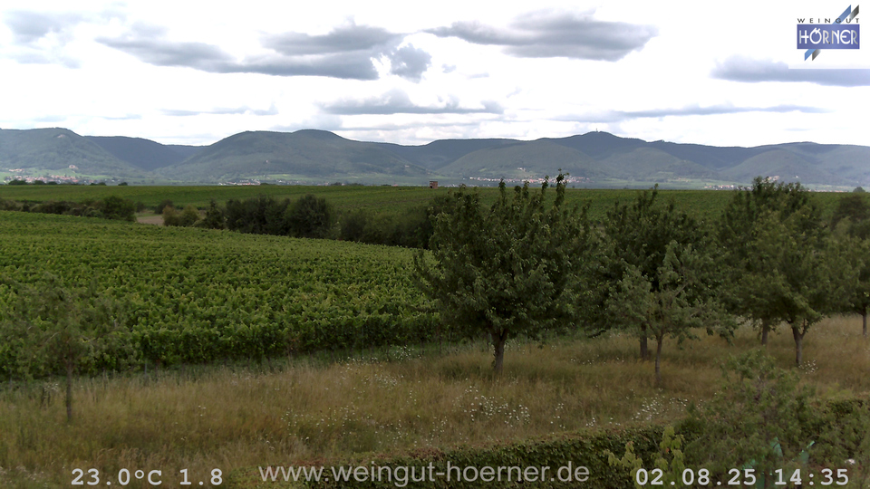 Webcam Weinberge Hochstadt