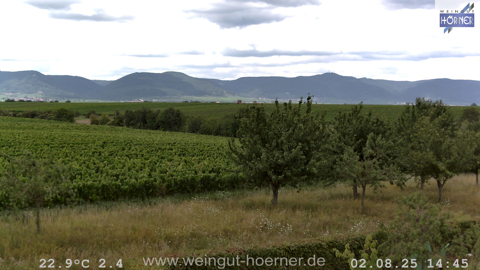 Webcam Weinberge Hochstadt