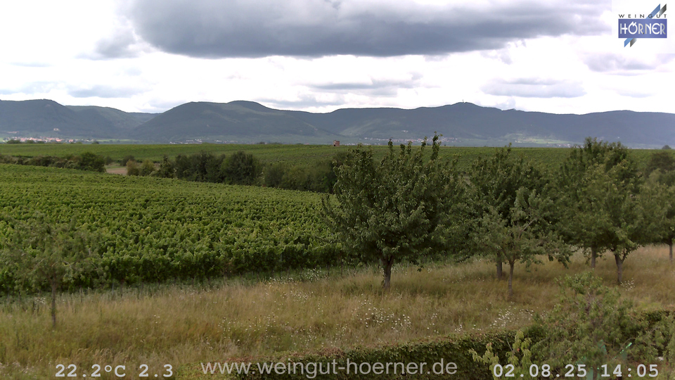 Webcam Weinberge Hochstadt