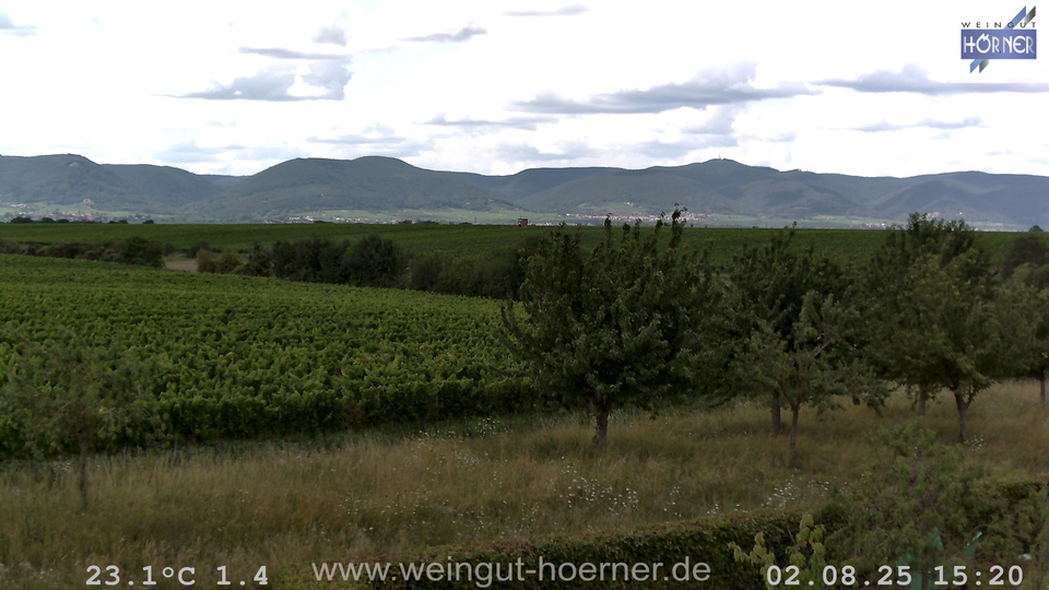 Webcam Weinberge Hochstadt