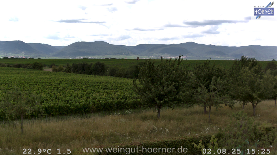 Webcam Weinberge Hochstadt