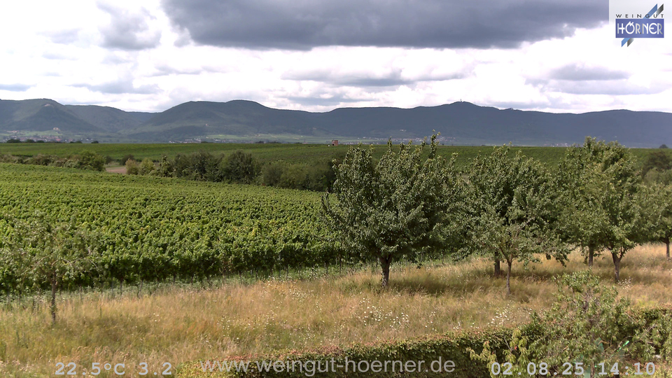 Webcam Weinberge Hochstadt