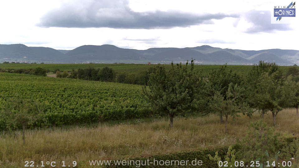 Webcam Weinberge Hochstadt