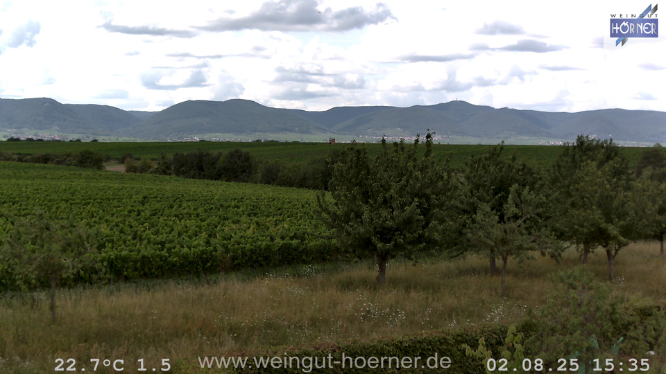 Webcam Weinberge Hochstadt