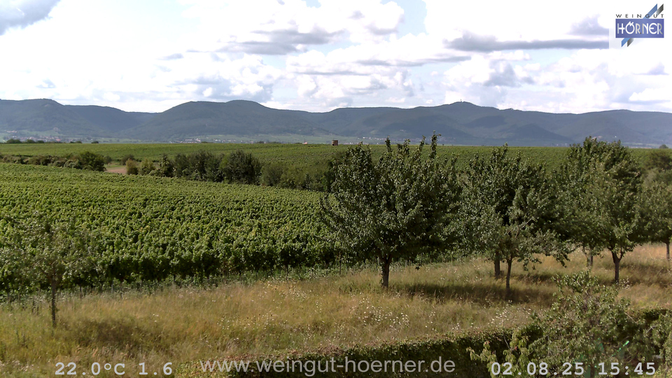 Webcam Weinberge Hochstadt