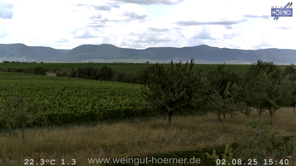 Webcam Weinberge Hochstadt