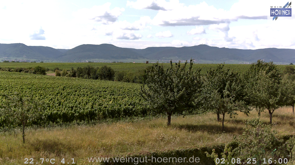 Webcam Weinberge Hochstadt