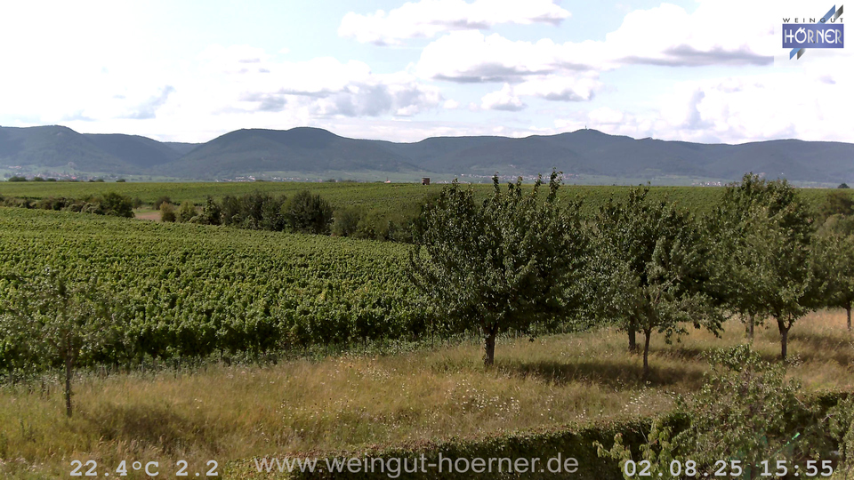 Webcam Weinberge Hochstadt