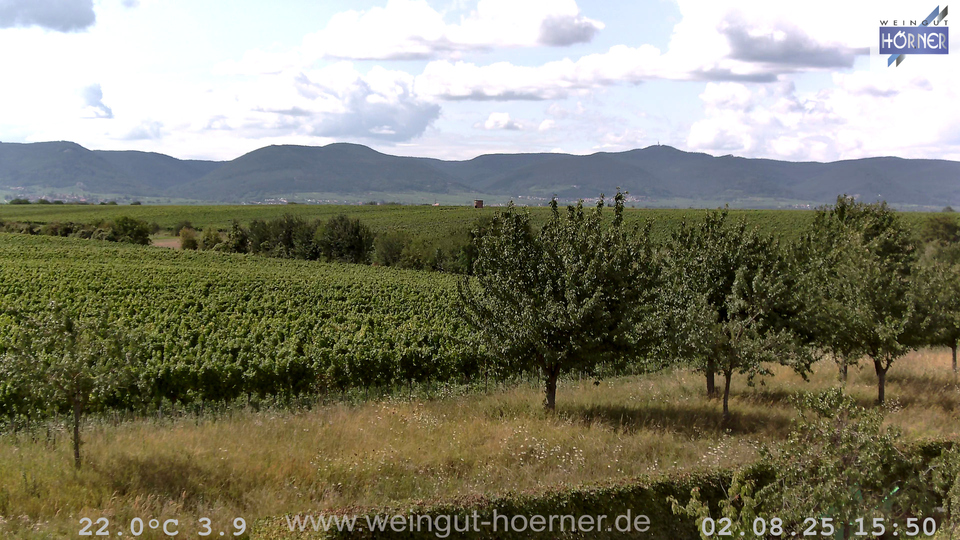 Webcam Weinberge Hochstadt