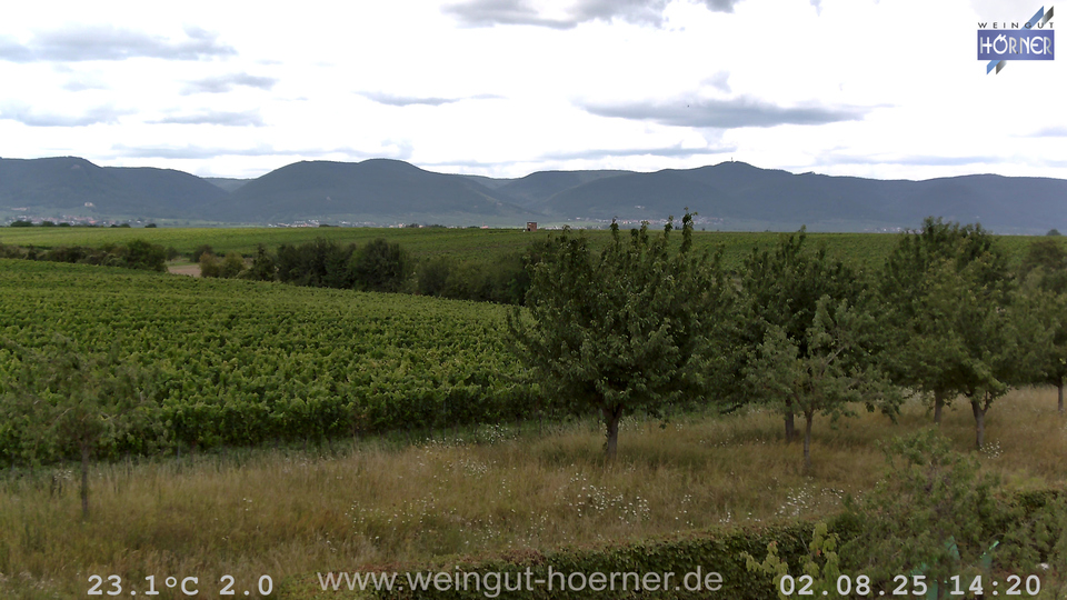 Webcam Weinberge Hochstadt