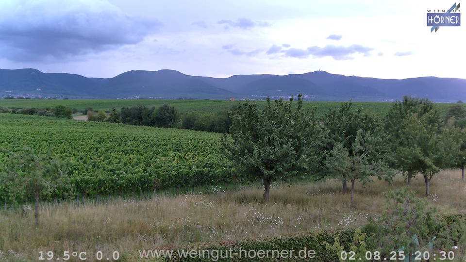 Webcam Weinberge Hochstadt