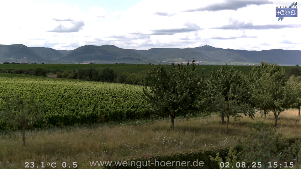 Webcam Weinberge Hochstadt