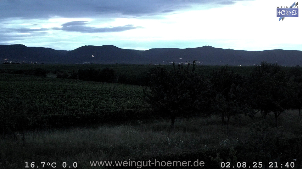 Webcam Weinberge Hochstadt
