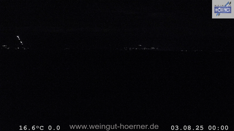 Webcam Weinberge Hochstadt