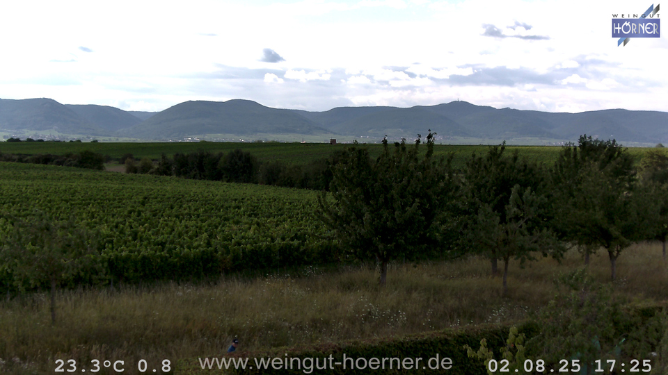 Webcam Weinberge Hochstadt