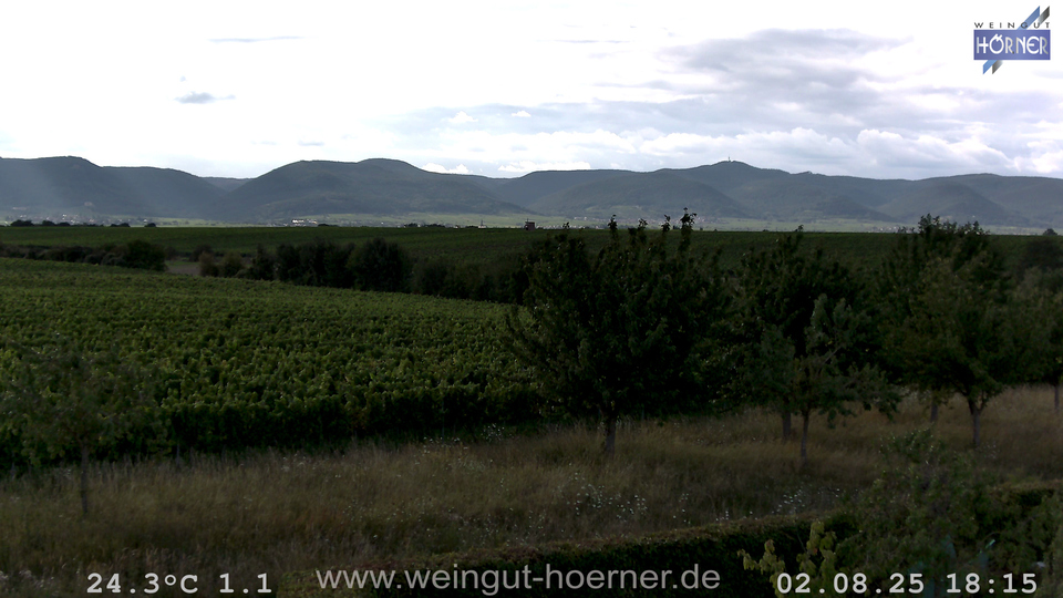 Webcam Weinberge Hochstadt