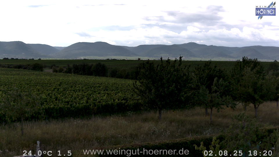 Webcam Weinberge Hochstadt