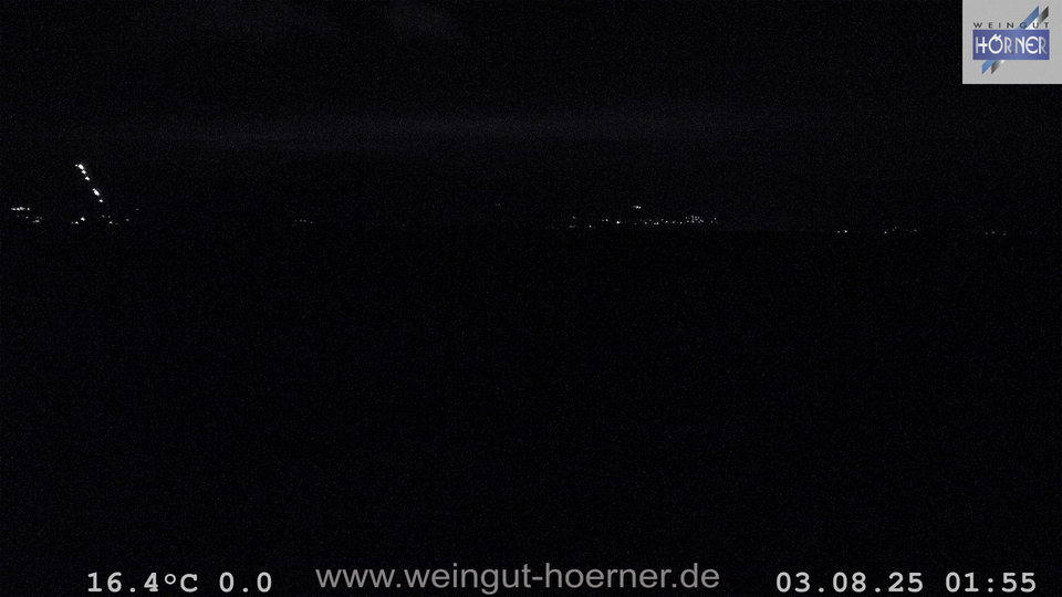 Webcam Weinberge Hochstadt