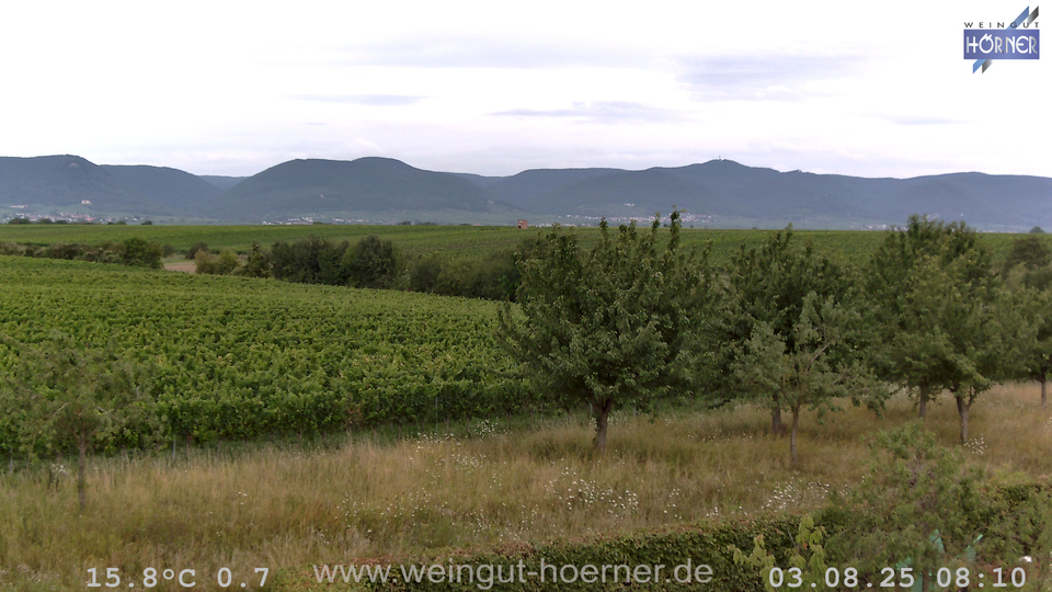 Webcam Weinberge Hochstadt