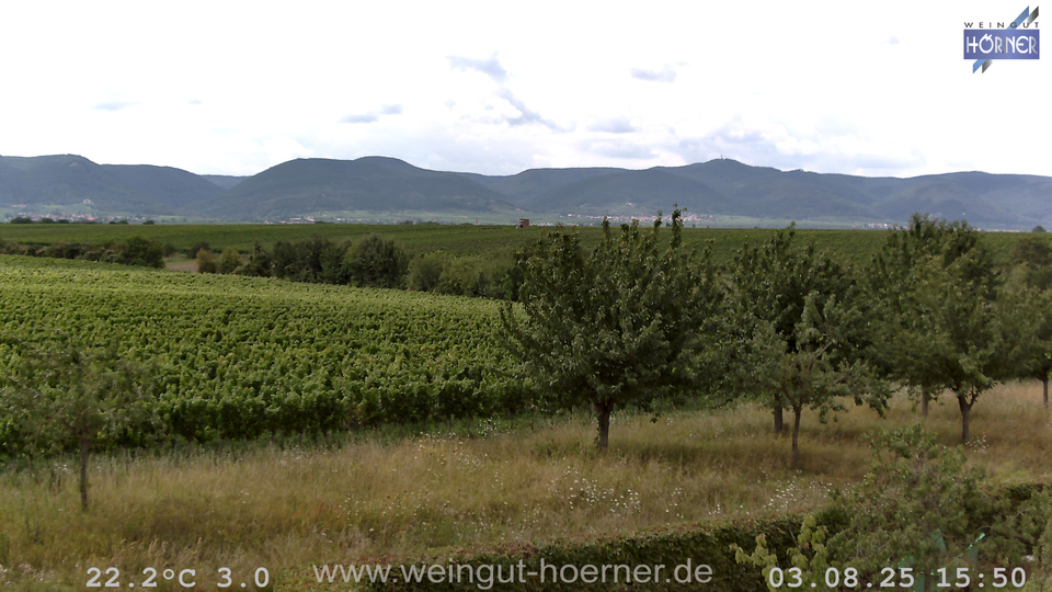 Webcam Weinberge Hochstadt