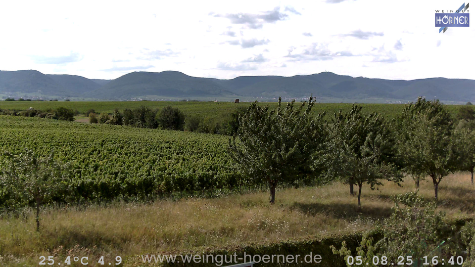 Webcam Weinberge Hochstadt